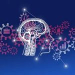 L’écosystème de WordPress